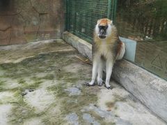 -泉州海丝野生动物世界