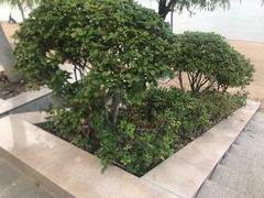 -武昌江滩