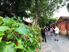 -晋江五店市传统文化旅游区