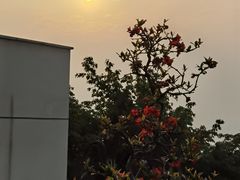 -南山植物园