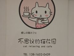 -猫猫幼稚园·撸猫·桌游·电玩