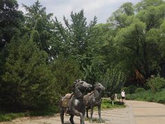 -元大都城垣遗址公园