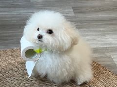 -爱侣宠医·鹦鹉专科·小型哺乳类·异宠专科(灵石路店)