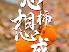 -哈尔滨手工饺子馆(下沙三坊店)