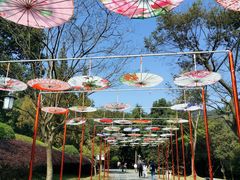 -敬亭山风景名胜区