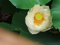-黄兴公园