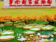 -中国科学院华南植物园