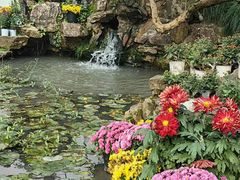 -汇龙潭