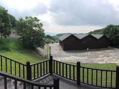 -云岭野山参风景区