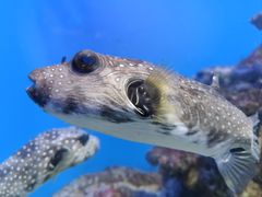 -泉城欧乐堡海洋极地世界