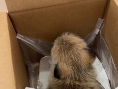 -思琪宠物医院(昆山花桥店)
