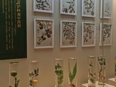 -广东中医药博物馆