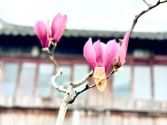-锦溪古镇