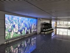 -张家界荷花国际机场