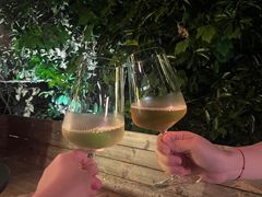 -毛辣果·酸(OHA复兴西路店)