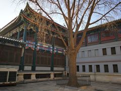 -国家图书馆·古籍馆
