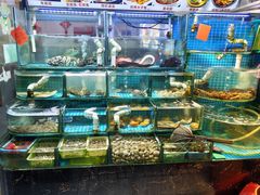 -40号厦门海鲜大排档(中山路店)