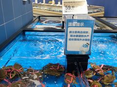 -盒马X会员店(王府井奥莱UP TOWN店)
