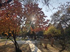 -辽宁大学(崇山校区)