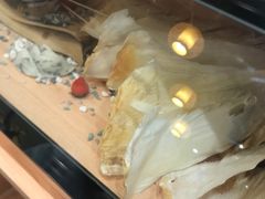 -喜上喜鸡煲翅(吉大店)