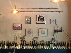 -Wine Universe 宇宙酒馆