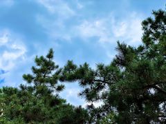 -北京西山国家森林公园