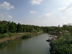 -上海长兴岛郊野公园