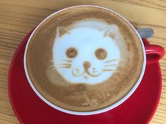 虎虎拿铁-Anne猫窝咖啡屋