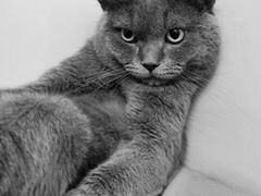 -袖虎·猫馆(体育西路店)
