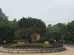 -滴水岩森林公园