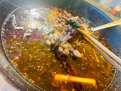 -鸿顺老铁锅美蛙鱼府(解放碑店)