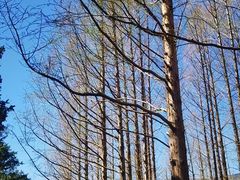 -国家植物园南园