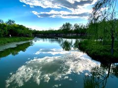 -东郊湿地公园