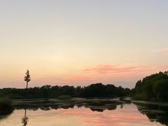 -南湖湿地公园