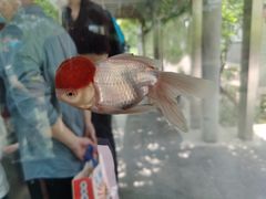 -石家庄市动物园