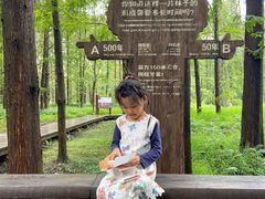 -黄海国家森林公园