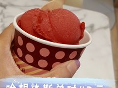 覆盆子雪芭雪泥-哈根达斯(南开大悦城店)