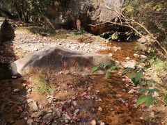 -众神白水涧景区