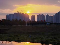 -洋湖国家湿地公园