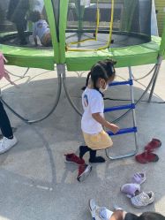 -小蜜蜂农场(凯德七宝购物广场店)