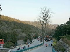 -八大处公园