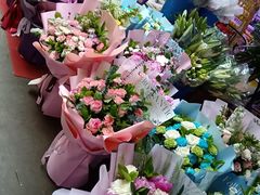 -花鸟鱼虫鲜花绿植市场(玉泉路店)