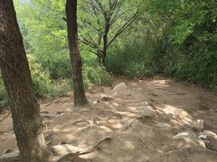 -灵岩山风景区