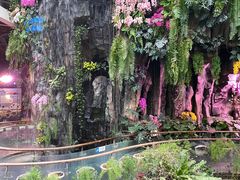 -正佳雨林生态植物园