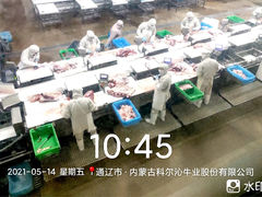 -科尔沁牛肉专营店(康桥店)
