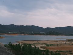 -周震馄饨