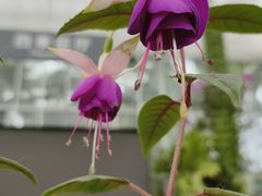 -国家植物园南园