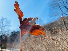 -北京西山国家森林公园