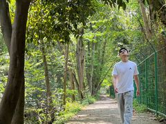 -桤木河湿地公园