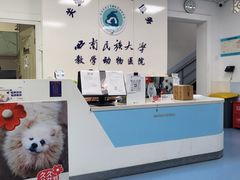 -成都民大动物医院